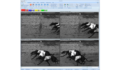 Imaging & Analysis Software