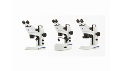 Light Microscopy