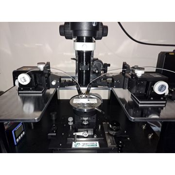 EverBeing Photonic/Fibre Optic Probe Station