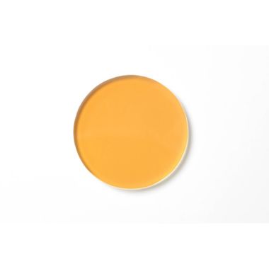 SCHOTT Insert Filter - Halogen - 258 307 (1228070)