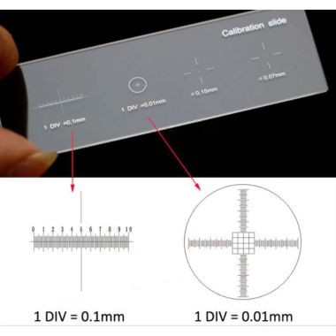 Microscope Calibration Slide, Four Graduated Scales 0.1mm, 0.01mm 0.15mm, 0.07mm