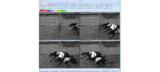 Imaging & Analysis Software