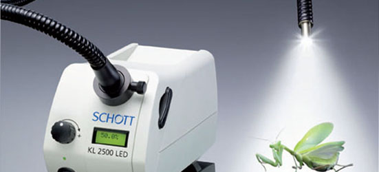 Light Sources & Illumination